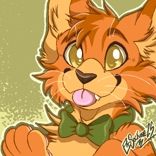 garfieldairlines.net (2428)